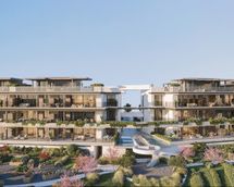 haiku suites